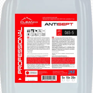 ANTISEPT SANITAYSER 5л. Антисептик