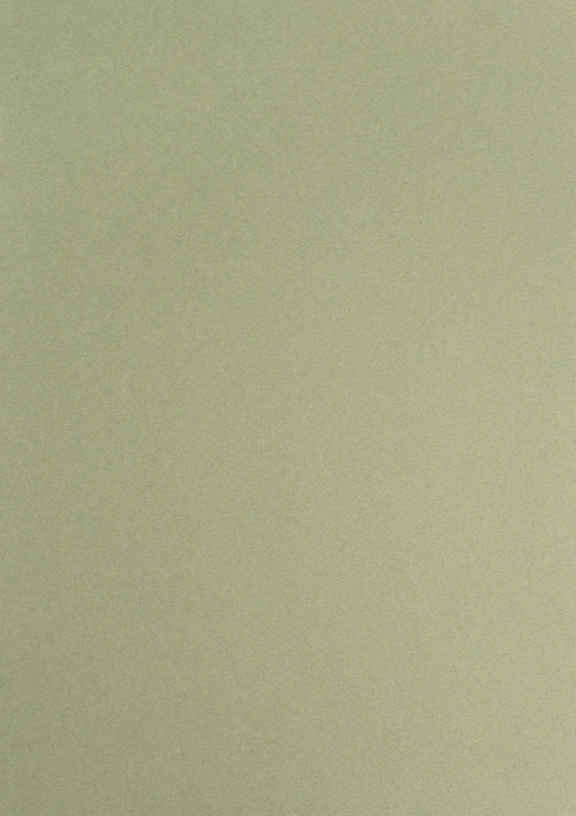 Бумага для пастели Малевичъ GrafArt, зеленый эвкалипт, 270 г/м, А2