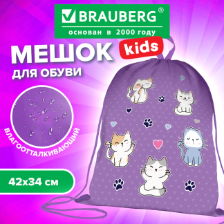 Мешок для обуви Brauberg kids, с петлей, 42*34 см "Playing kittens", 272413