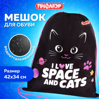 Мешок для обуви ПИФАГОР, 1 отделение, 42х34 см, "Dark kitten", 273419