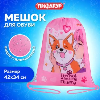 Мешок для обуви ПИФАГОР, 1 отделение, 42х34 см, "Fluffy akita", 272385