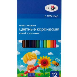 Карандаши цветные пластиковые Гамма "Юный художник", 12цв., заточен., картон. упаковка, европодвес PCP12_112025